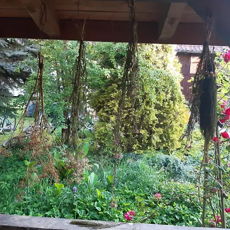 Bauernhof Wojciechowka Nad Jeziorakiem Agroturystyczny *