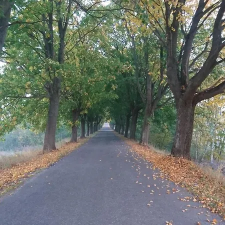 Bauernhof Wojciechowka Nad Jeziorakiem Agroturystyczny Zalewo (Ostroda)